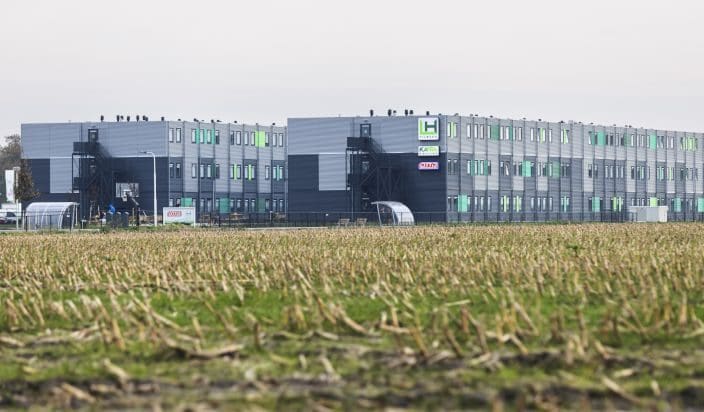 De Meeuw