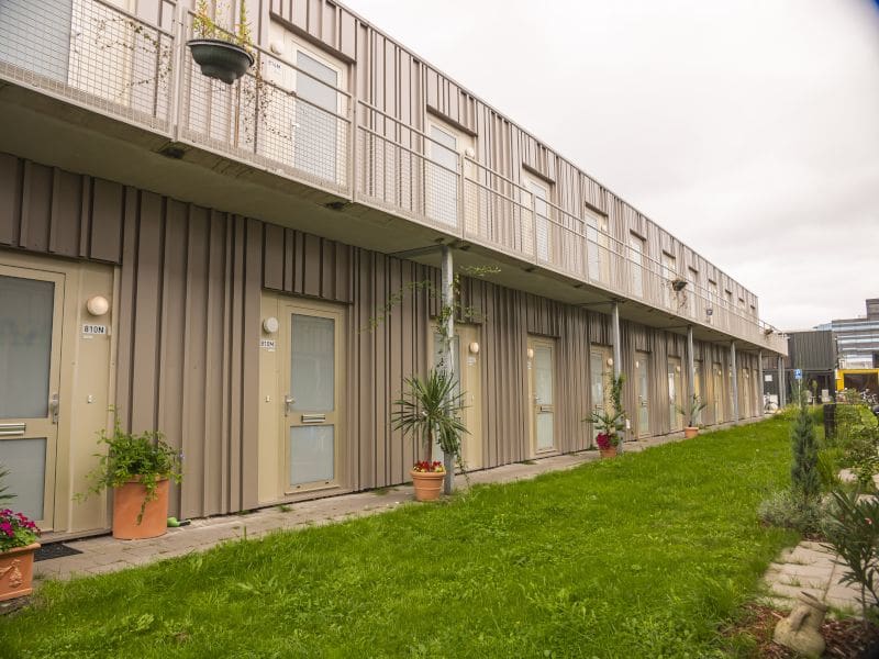 Spark Village 2 web
