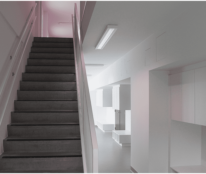 shapeimage_1 (4)