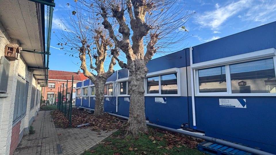 99ae3b4d-6074-45ee-b9d8-86ef1ac660e2